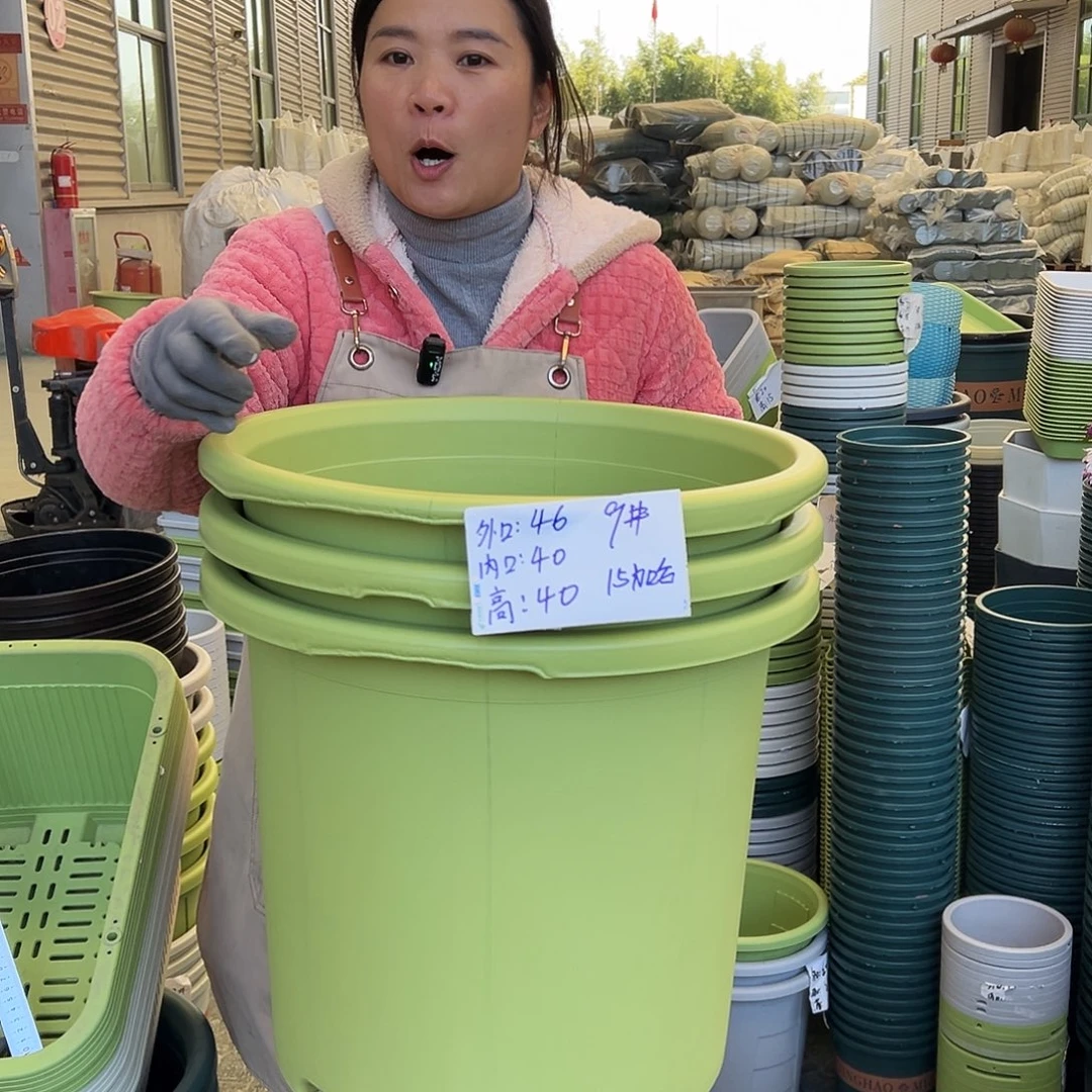 瑕疵四季盆9#果绿色3个无托