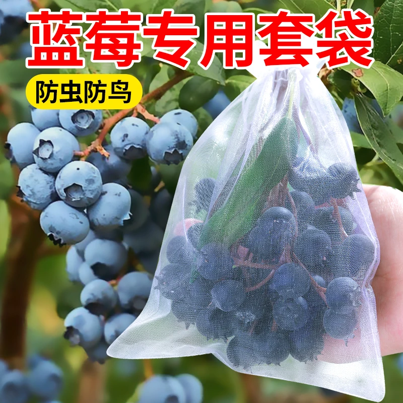 蓝莓套袋用袋防虫防鸟透气袋水果蔬菜苦瓜番茄草莓桃子通用网袋