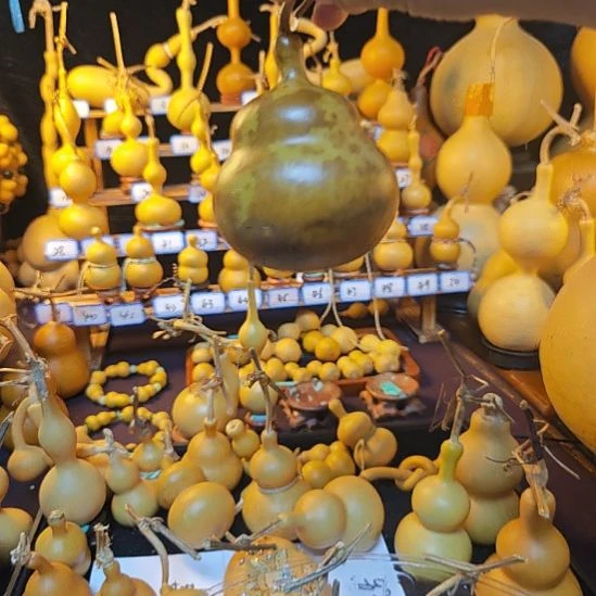 M***。大叶紫檀（黑酸枝木类）