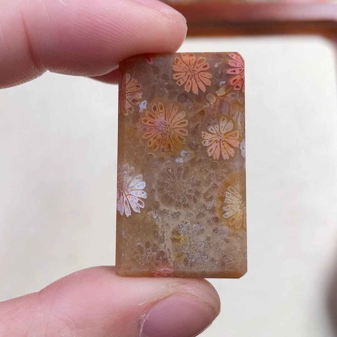 【闪购商品】硅化玉吊坠(赠链)未镶嵌