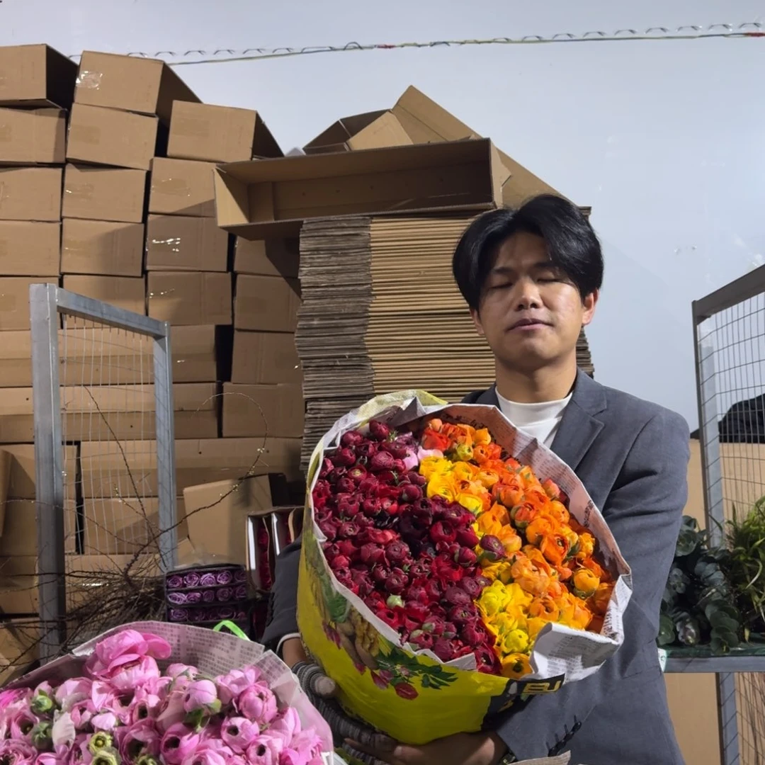 红色洋牡丹3扎。 短杆