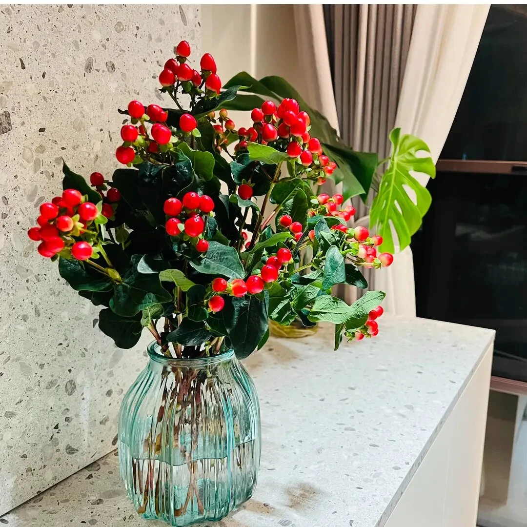 红豆5-8枝-鲜花配花切花家居生活花-今天下单明天送达配送