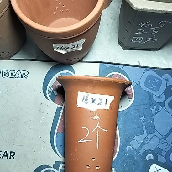 小红兰花两个微瑕