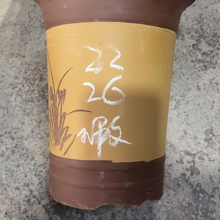 紫砂工艺厂……紫砂工艺厂……紫砂