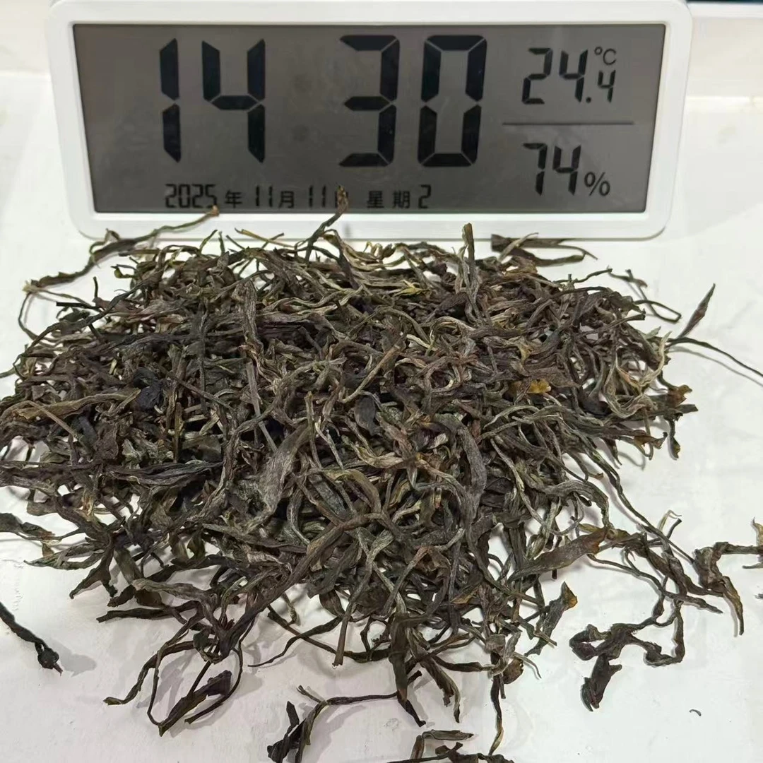 C02-丁四-2025年半坡乔木云南易武普洱茶生茶春茶散茶