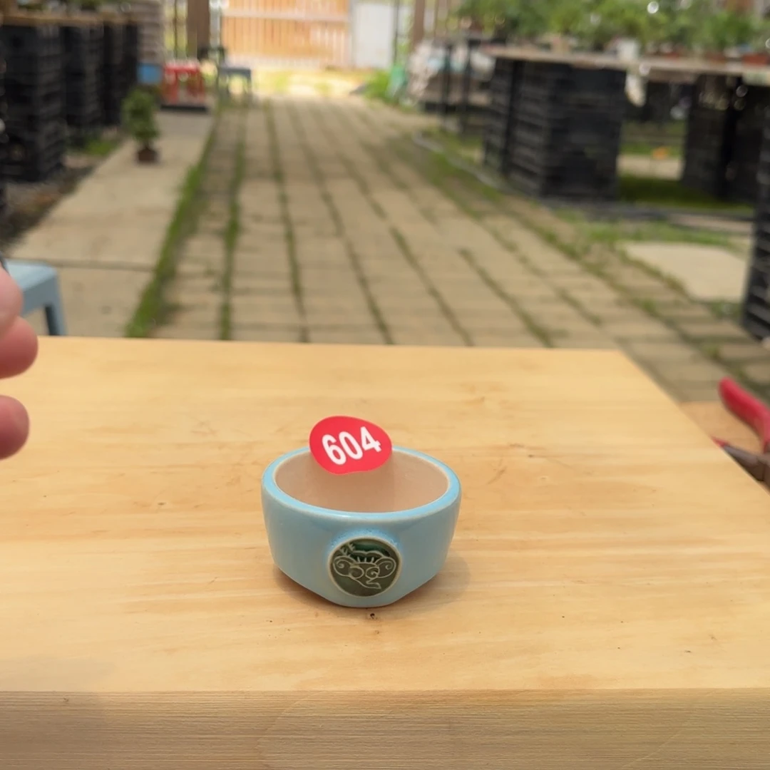 心**生大棚转让604号包邮