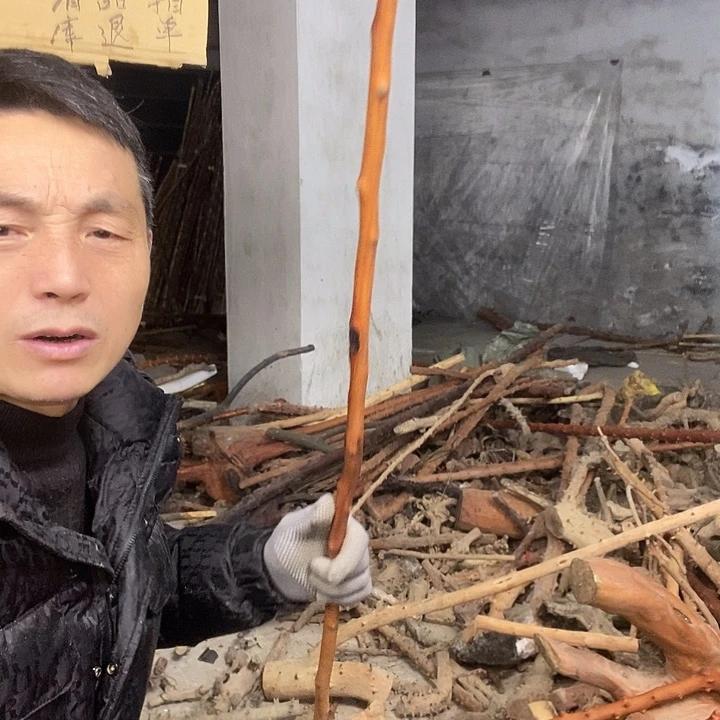 稳定木君*贵州檬子木 毛料。 半成品