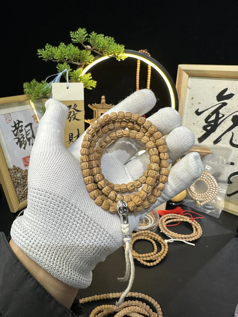 观山对眼方块顺柏香籽