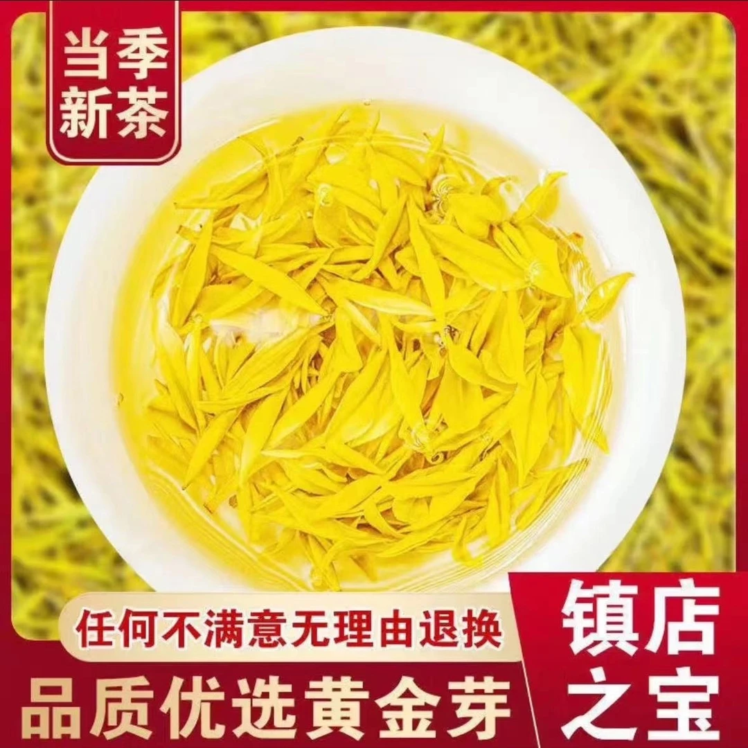 2025年新茶雨前黄金芽高豆香浓香型口粮茶高山绿茶250g500g