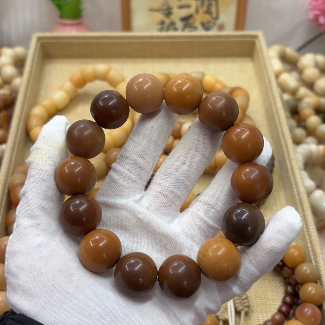 吊坠菩提根/象牙果20干磨瑕疵落地果362