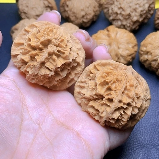 文玩核桃矮桩大花