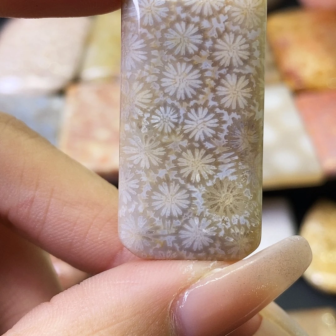 硅化玉颈饰合金网****l