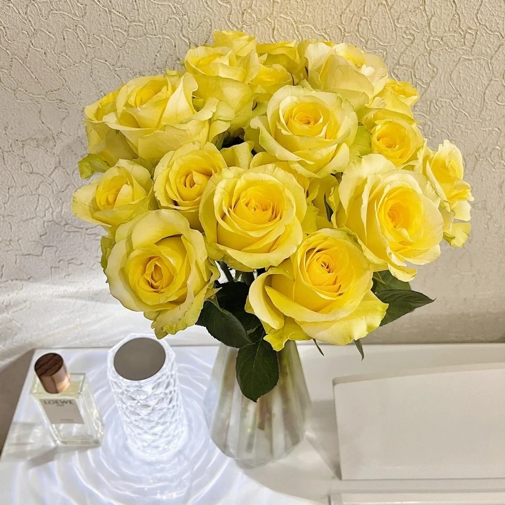 【云台花卉】浪漫沙滩单头玫瑰 10/20枝 两单升级京东冷链/德邦空运