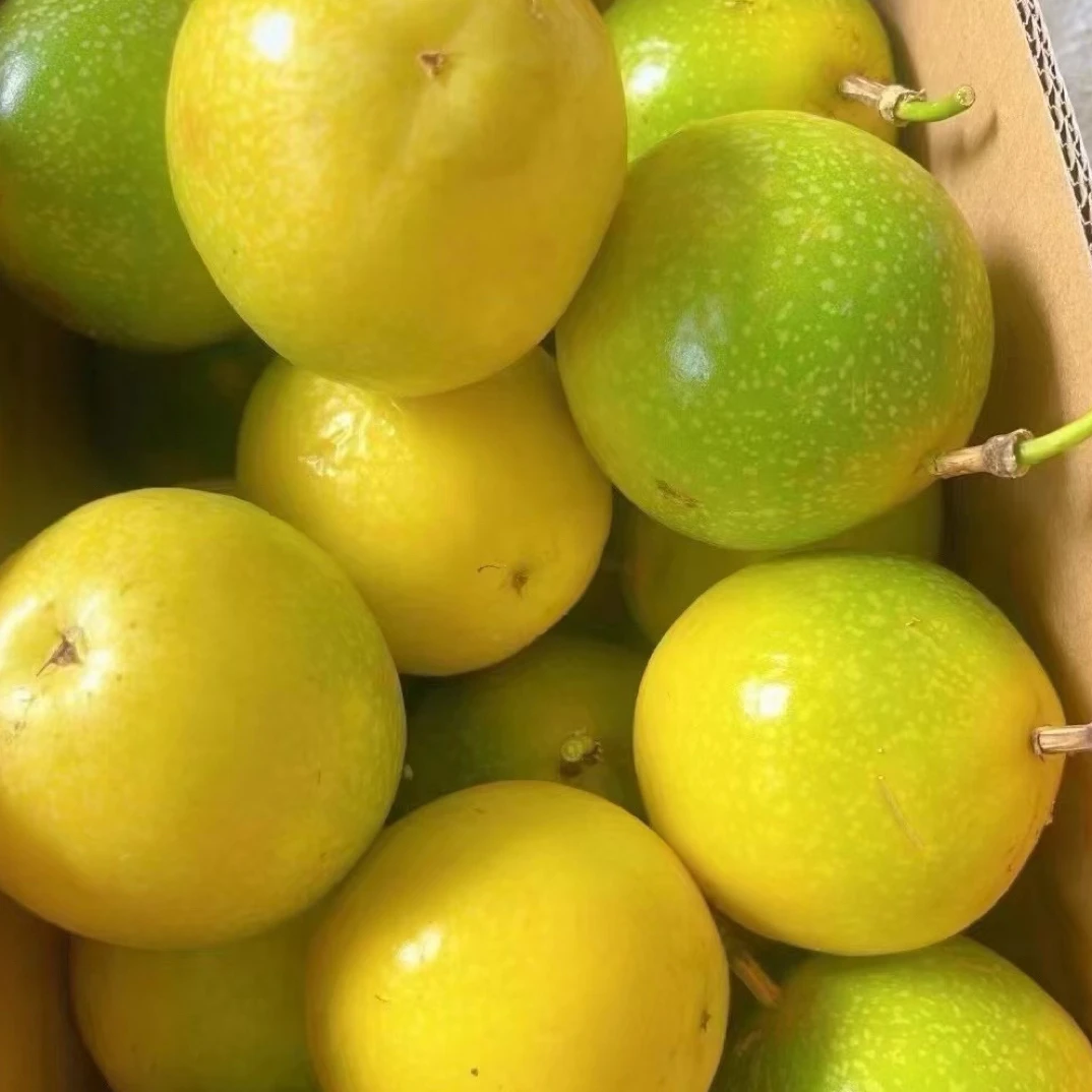 广西钦蜜九号百香果新鲜现摘当季水果多汁香甜