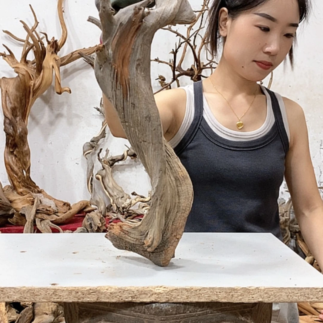 【闪购商品】柏木0*7我们都是好孩子