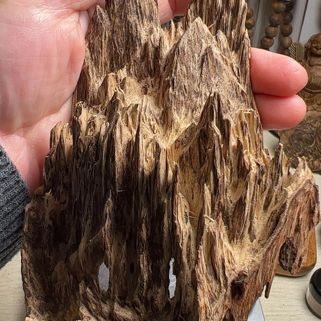 沉香碎屑沉香东马沉香48克