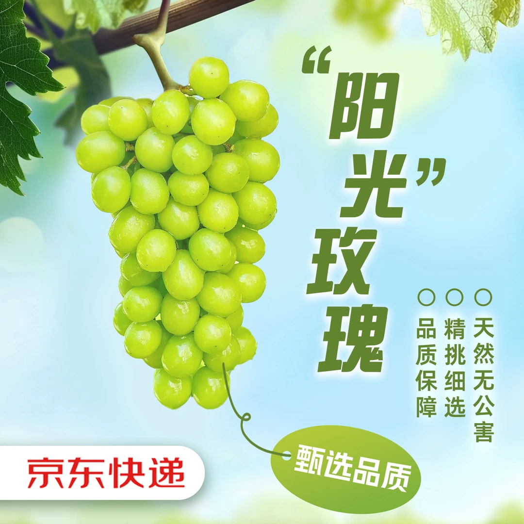 【京东生鲜】正宗阳光玫瑰葡萄当季新鲜水果爆汁无核无籽整箱发货ZB