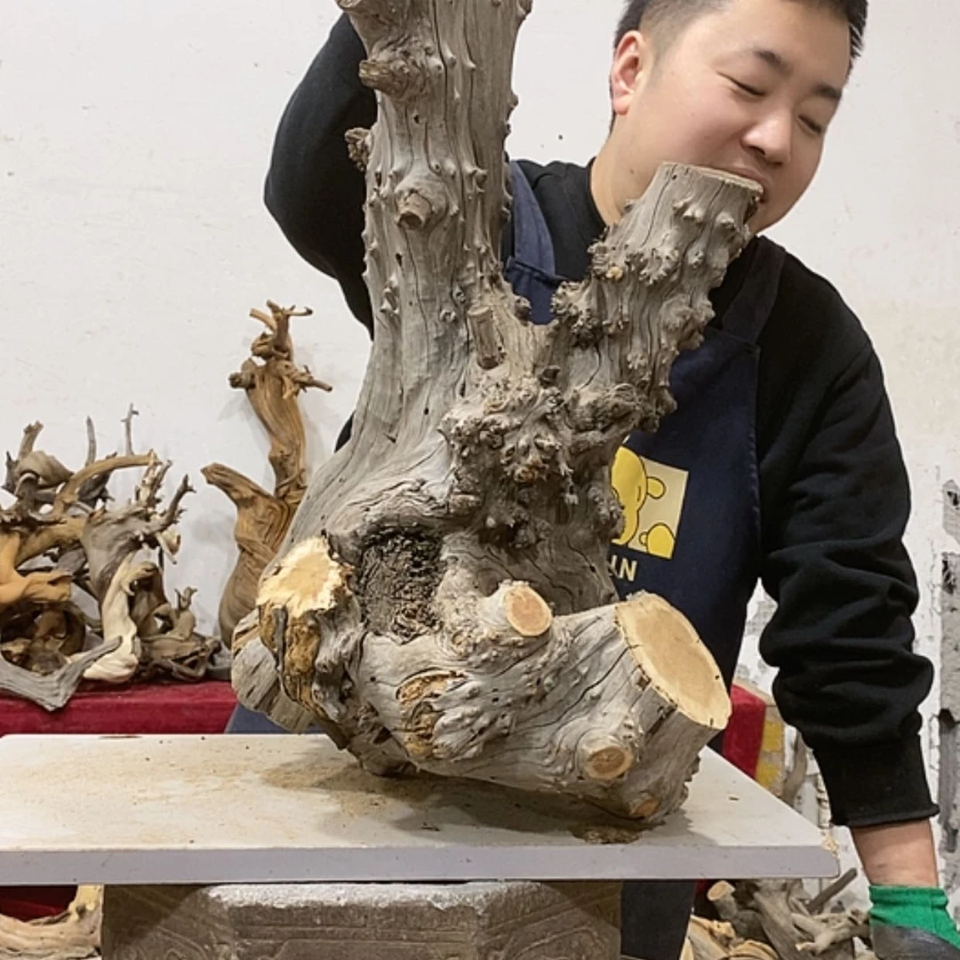 【闪购商品】柏木太****销我们都是好孩子