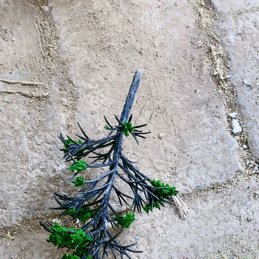 【闪购商品】用****81111