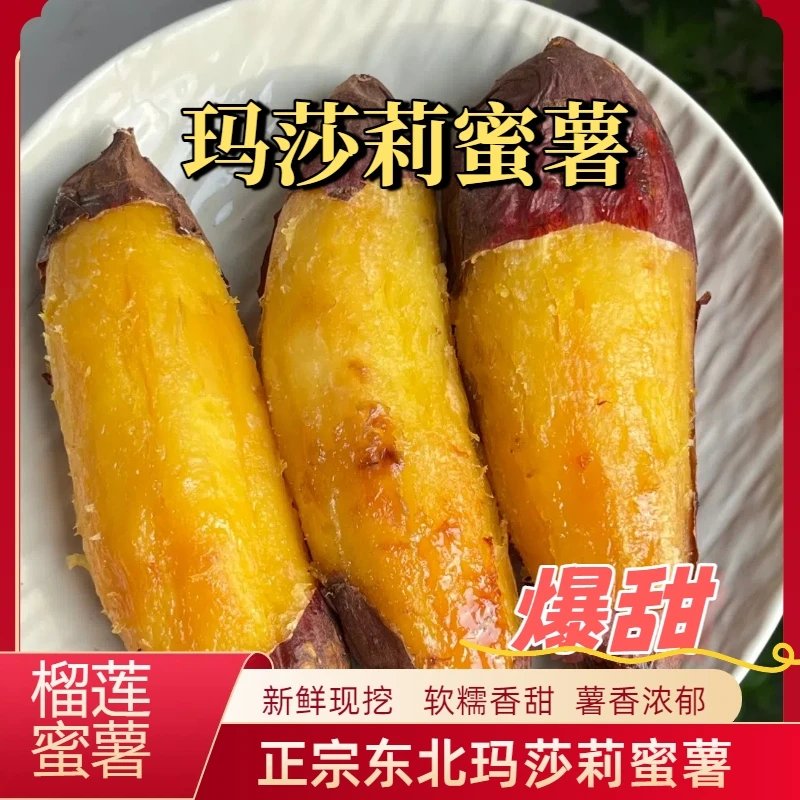 （送半斤小果）宗东北玛莎莉蜜薯新鲜红薯