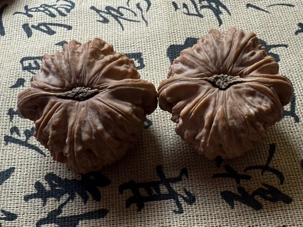 卡姿兰闷白狮子头