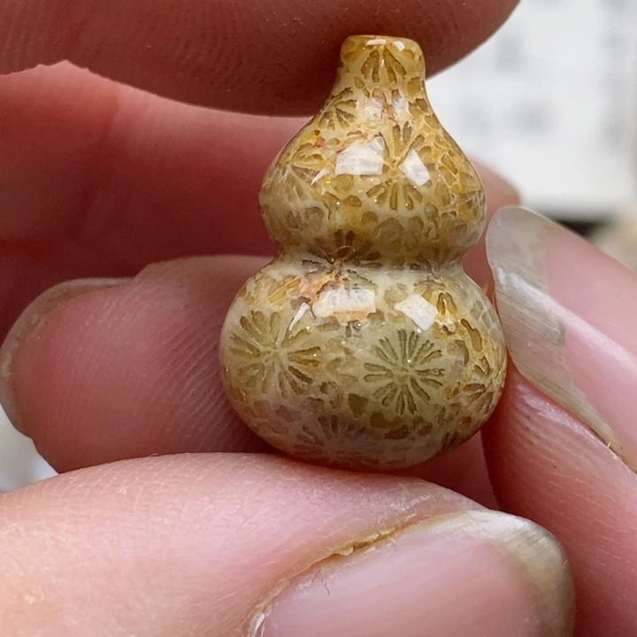 颈饰未镶嵌硅化珊瑚（珊瑚玉）没打孔 小