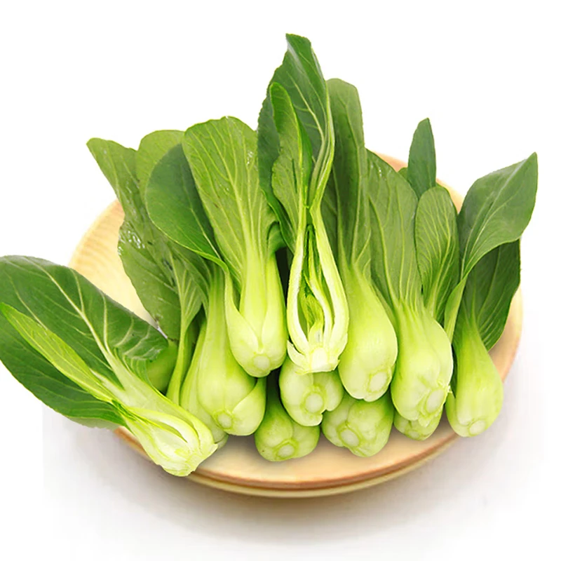 新鲜小油菜水培蔬菜现采现摘蔬菜