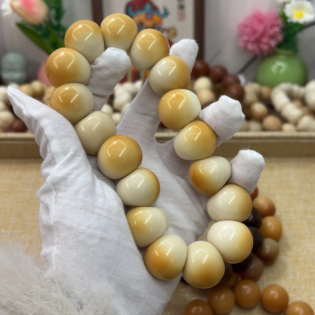 菩提根/象牙果吊坠22干磨牙果晕色胖墩肠220