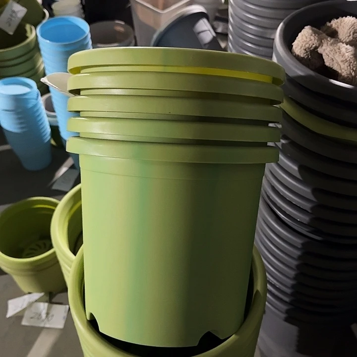 串色5#口径29果绿5个无托