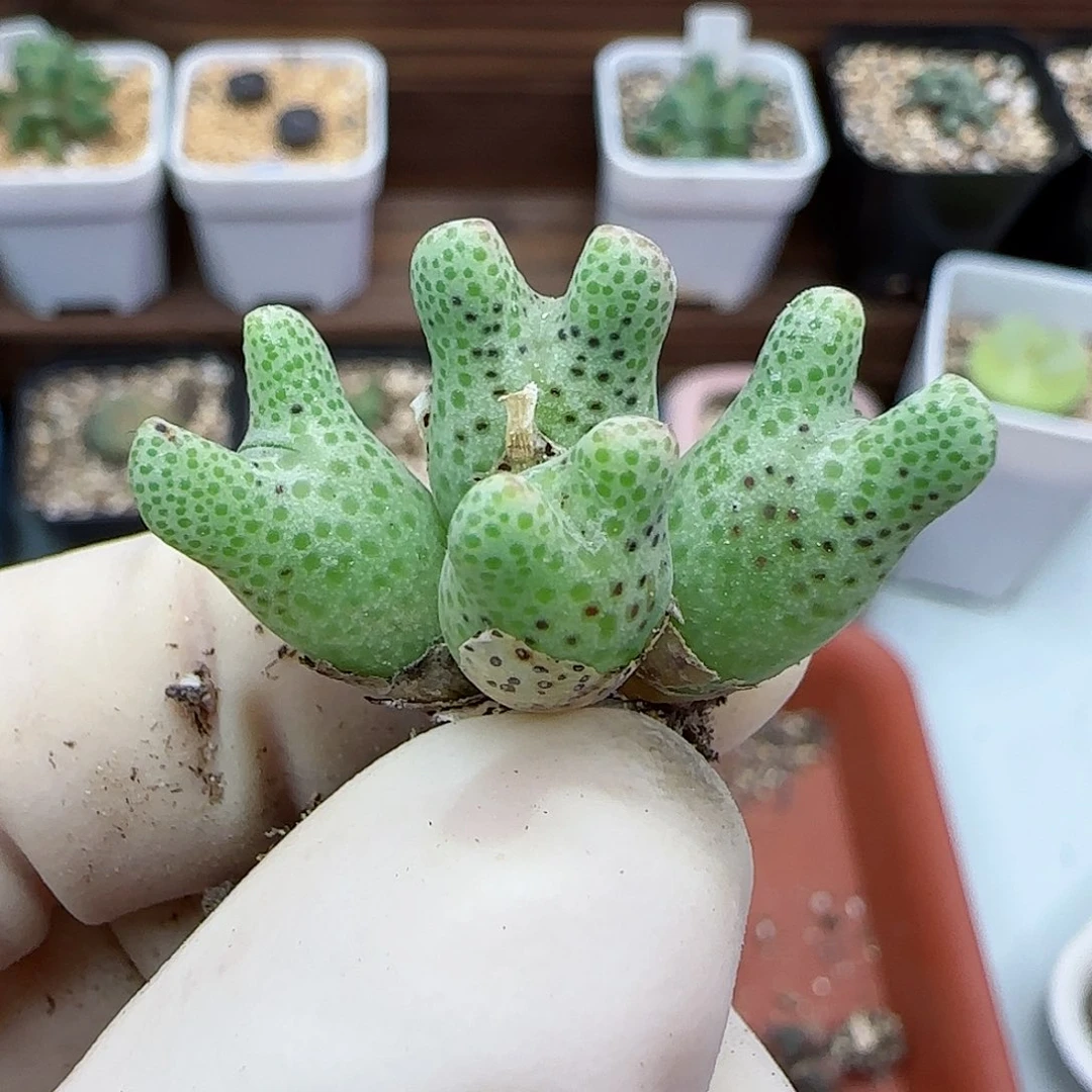 y****多461福利福利福利