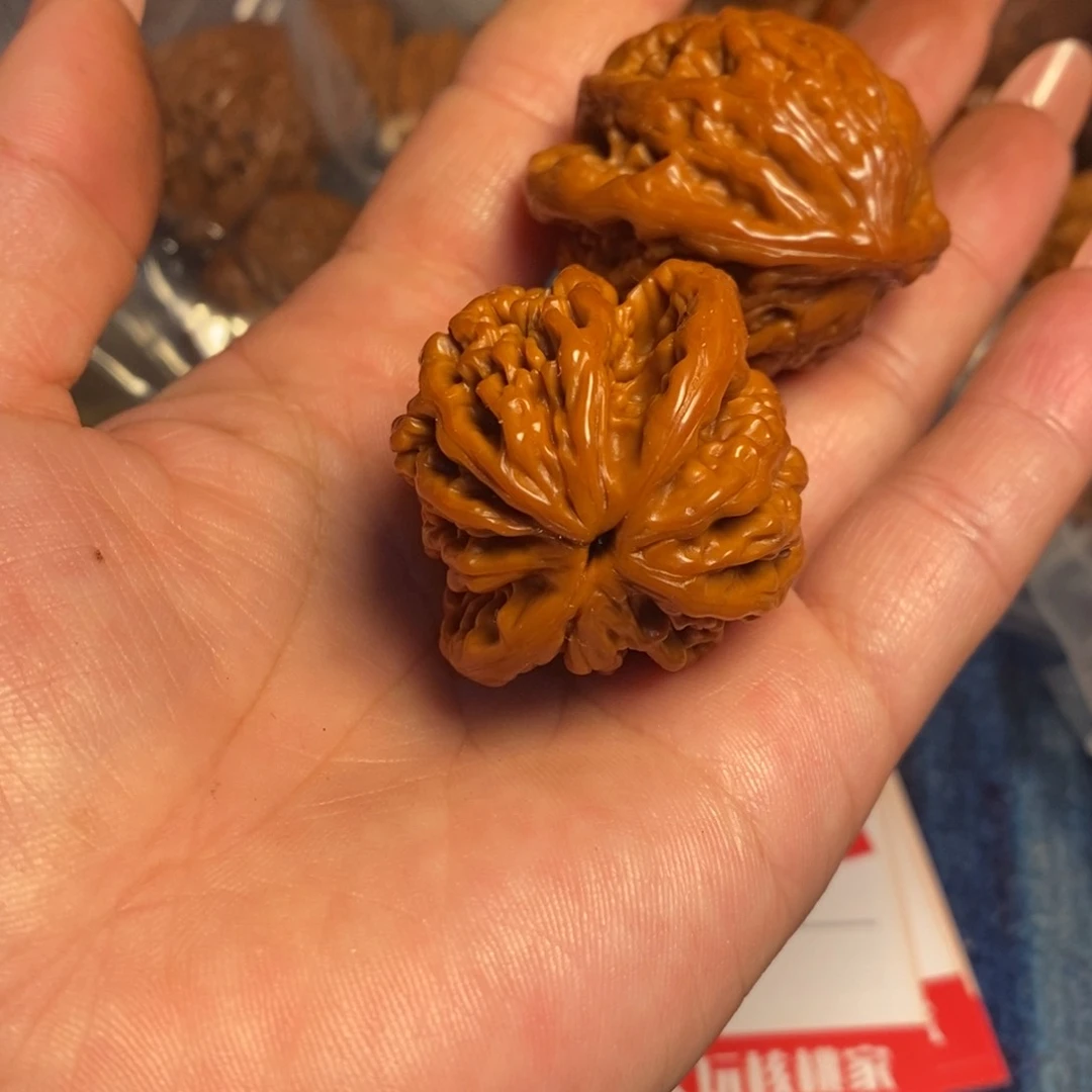 木质类龙****?