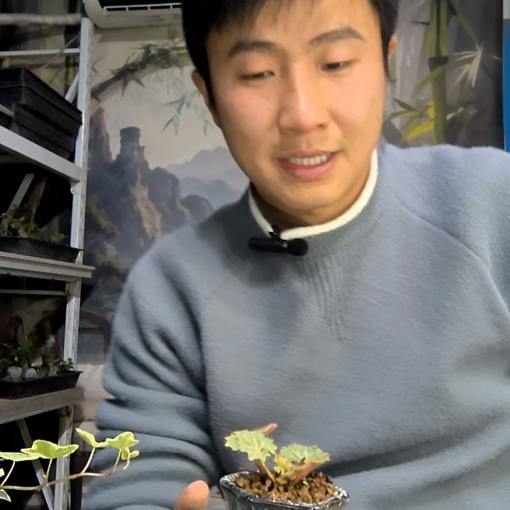 酒***～中青园艺一物一拍花217