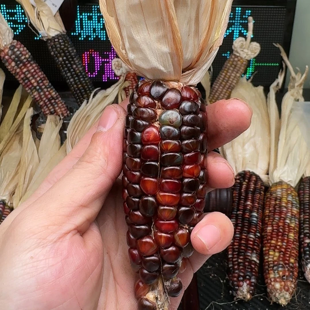 柏香籽/百香籽吊坠香**汁