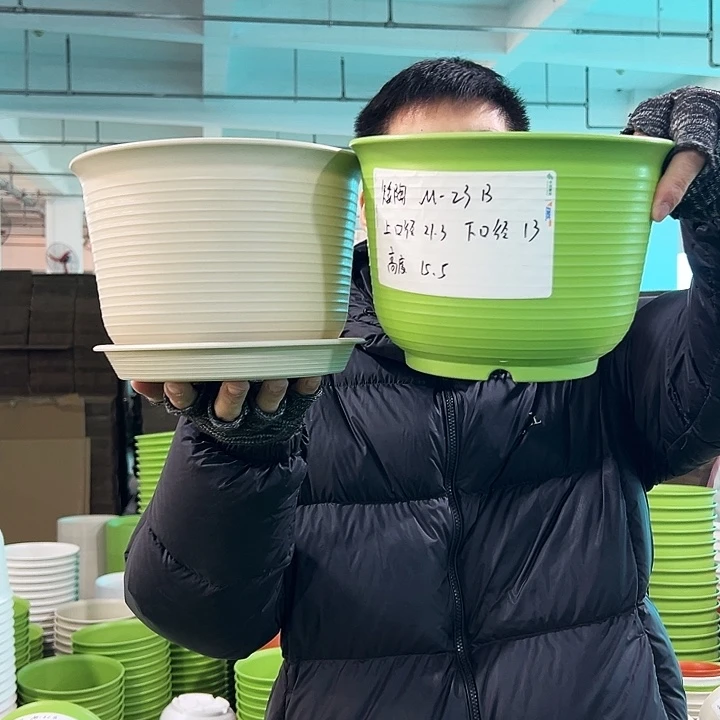 正品矮陶口21高15果绿带托8只