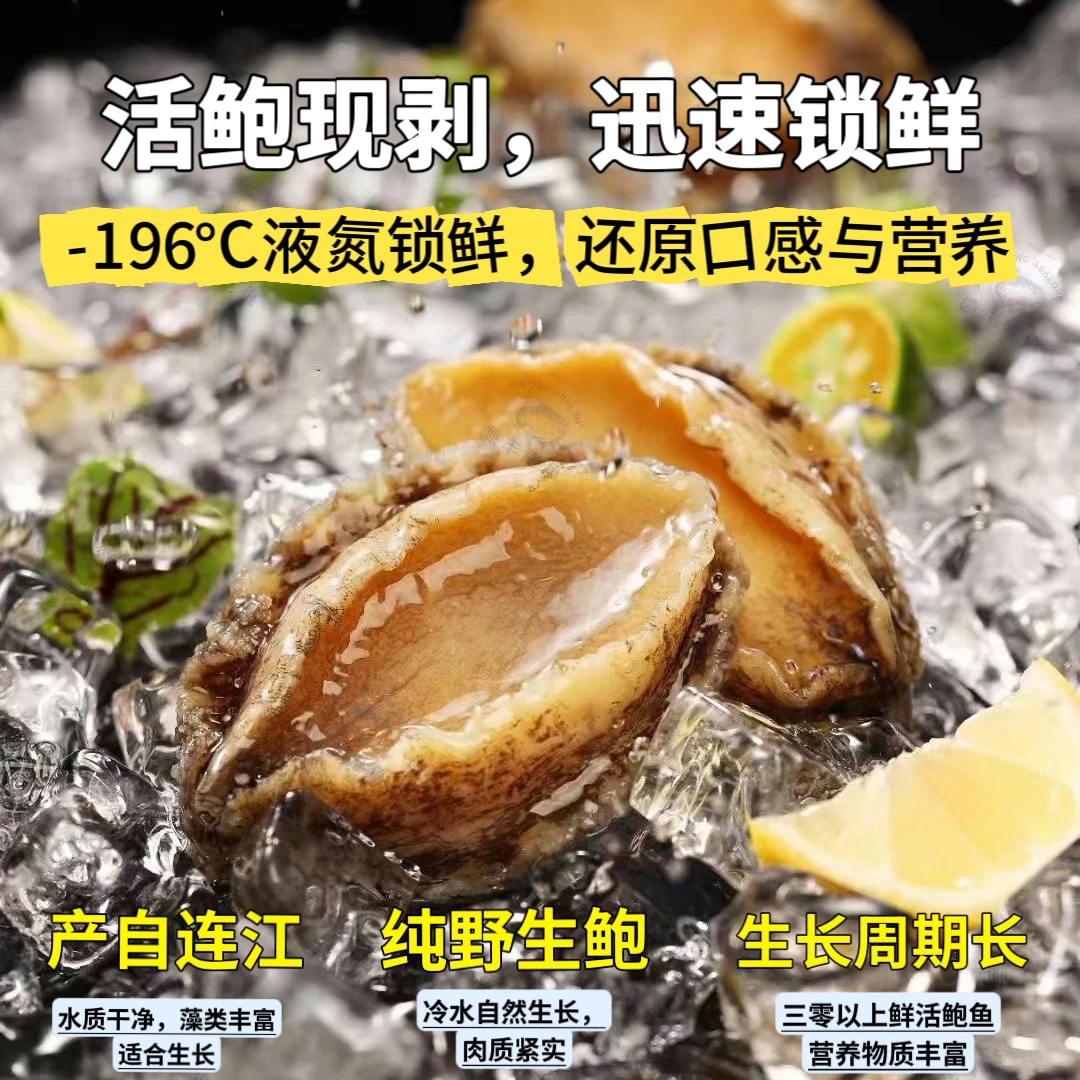顺丰包邮极速锁鲜纯肉5-6cm拍10只送10只到手20只鲍鱼