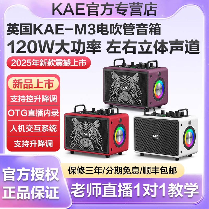 KAE M3音箱音响乐器专用电吹管萨克斯户外无线直播内录蓝牙音响
