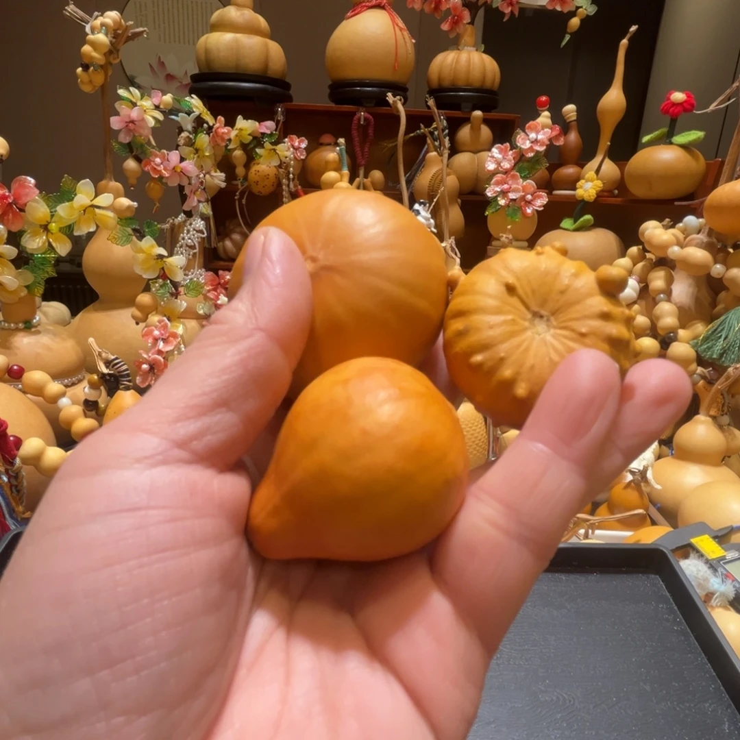 莱***৲墨西哥葫芦真好看