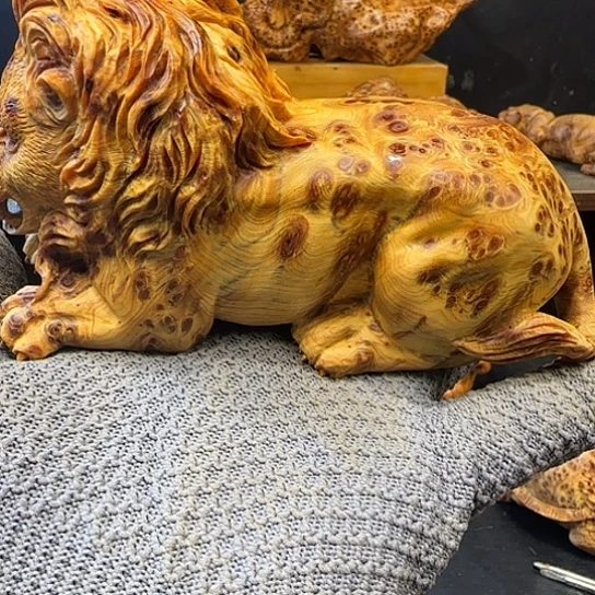 柏木渴**鱼太行崖柏狮子