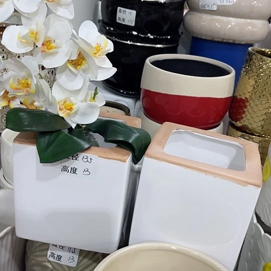 多肉绿植陶瓷花盆9.9包邮，有孔