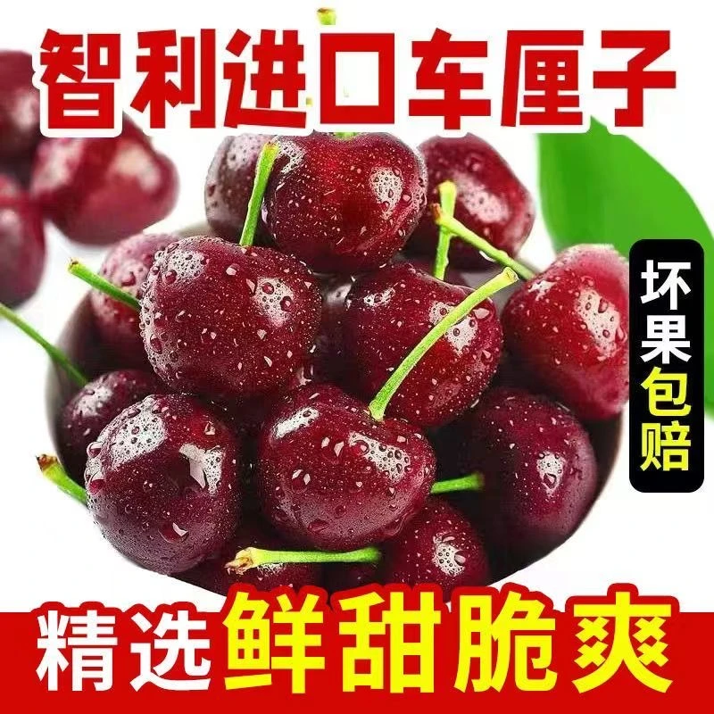 【有成】智利进口车厘子桑提娜J-5J 5斤 原箱装 顺丰京东包邮整箱装