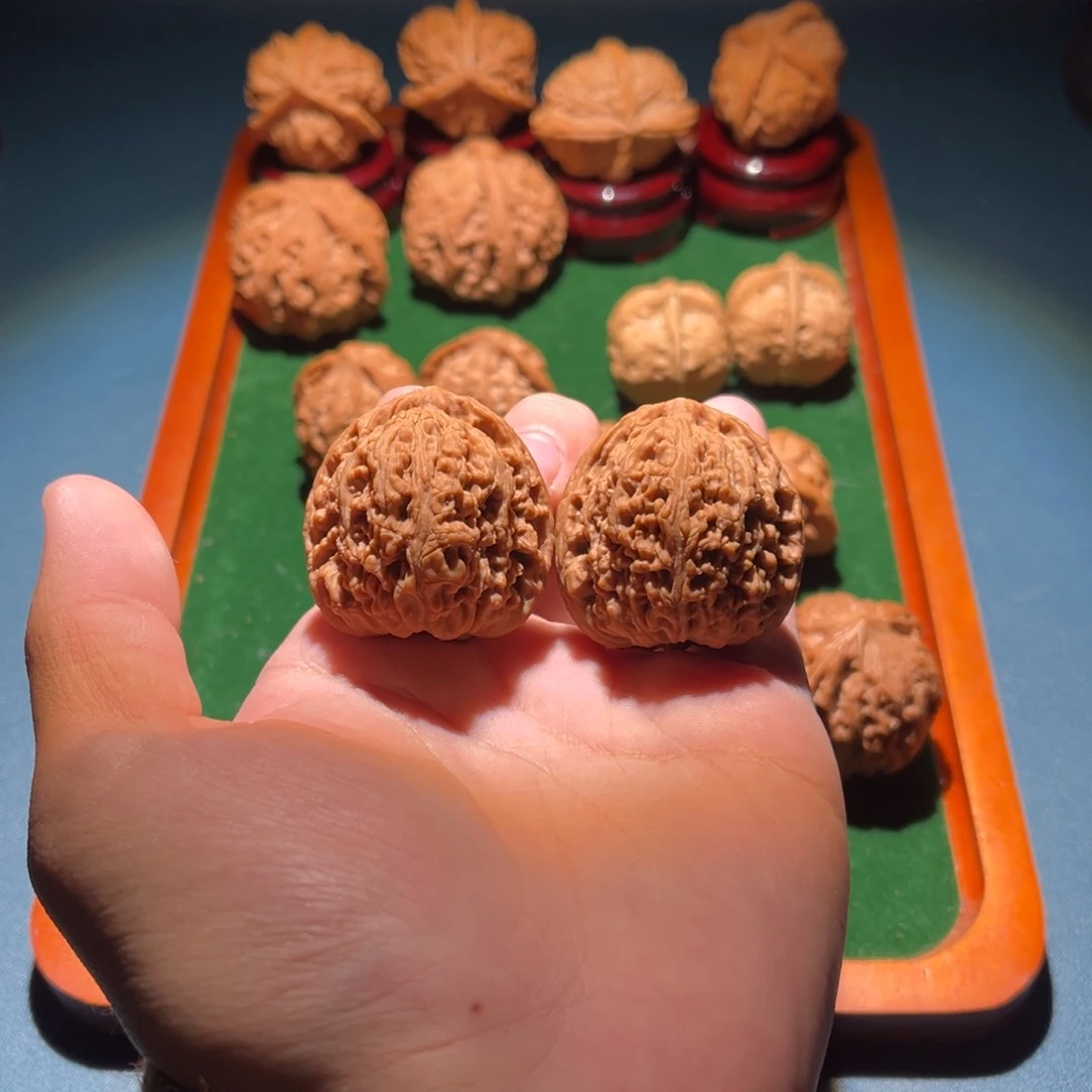 37全品小炮弹逐鹿南疆