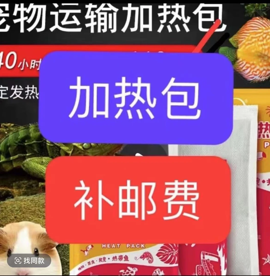 【加热包+补邮费】气温低于15度必拍！！！不拍不包活！！！