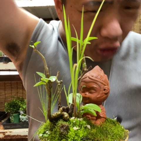 红陶一物一拍所见即所得59