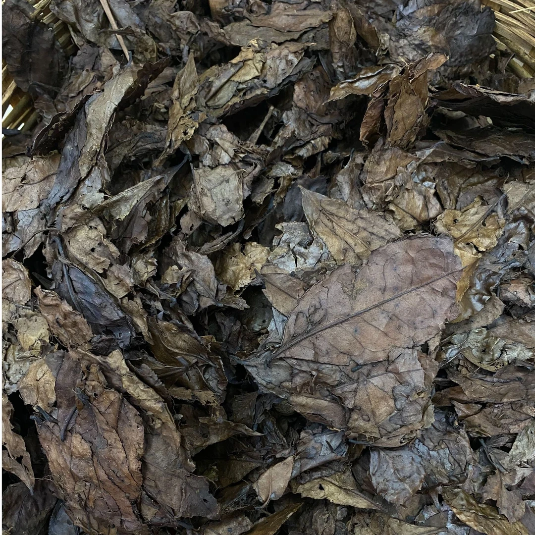 满小茉2003老茶婆2500克筐梧州六堡茶黑茶醇厚绵柔细腻茶叶