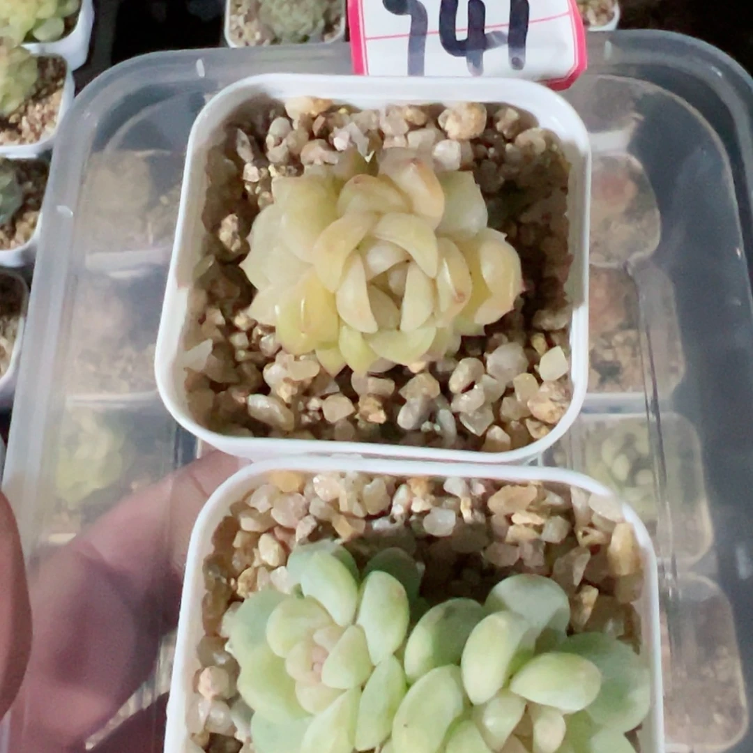 【闪购商品】H**然741哈哈哈哈哈哈哈哈