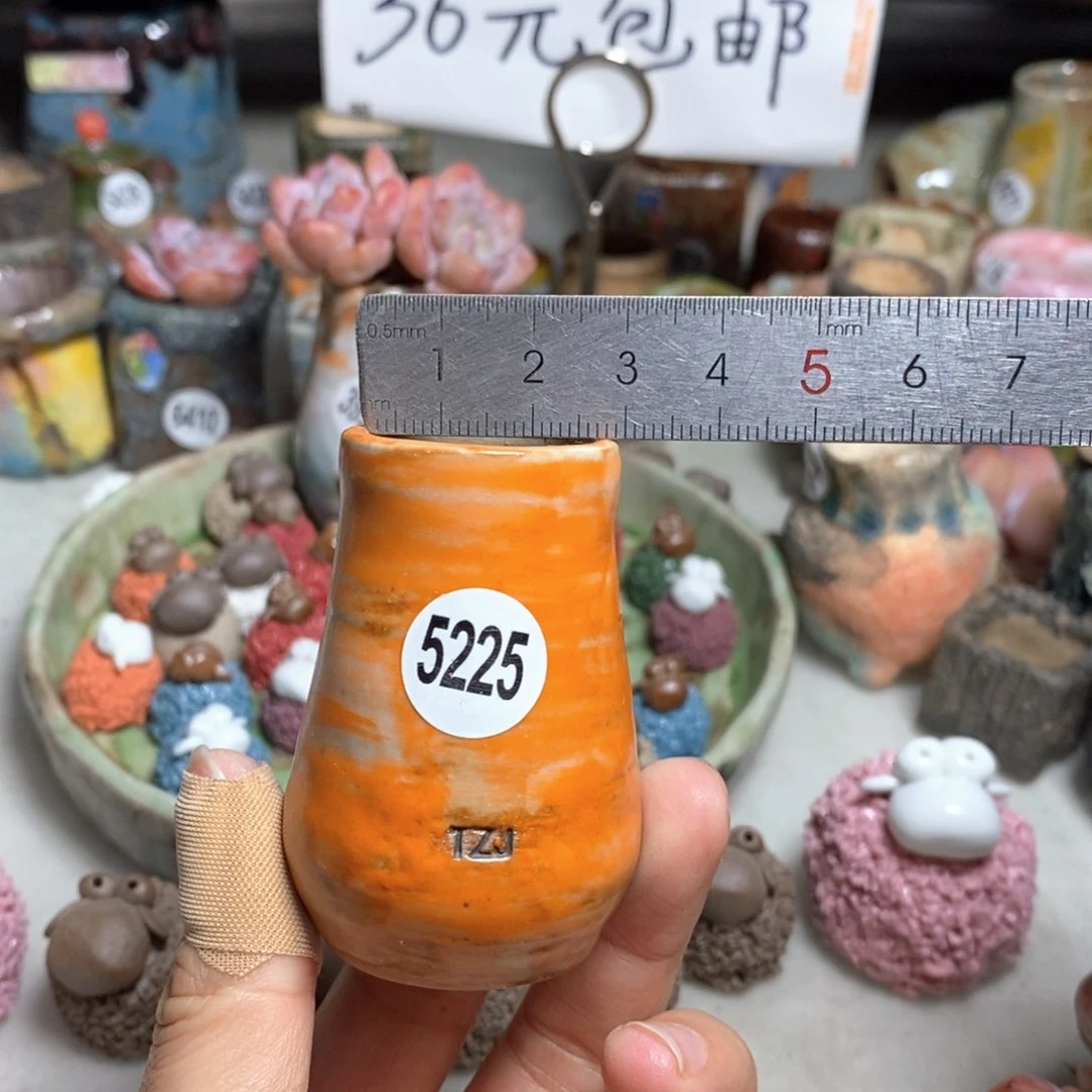 拍5送一个小礼物