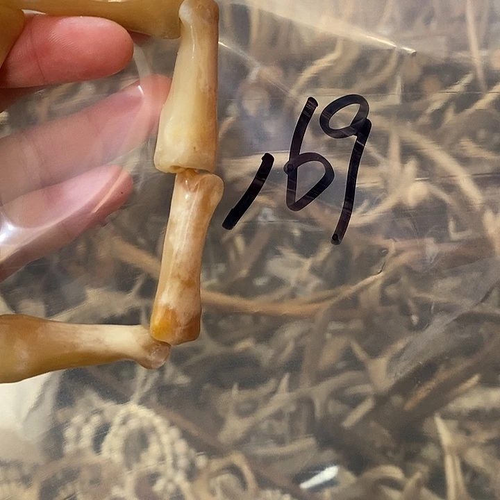 柳***儿非金属鹿骨鹿骨鹿骨