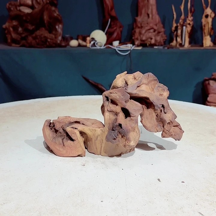 黑果木阿****0306金丝红木羊蹄甲半成品雷击木