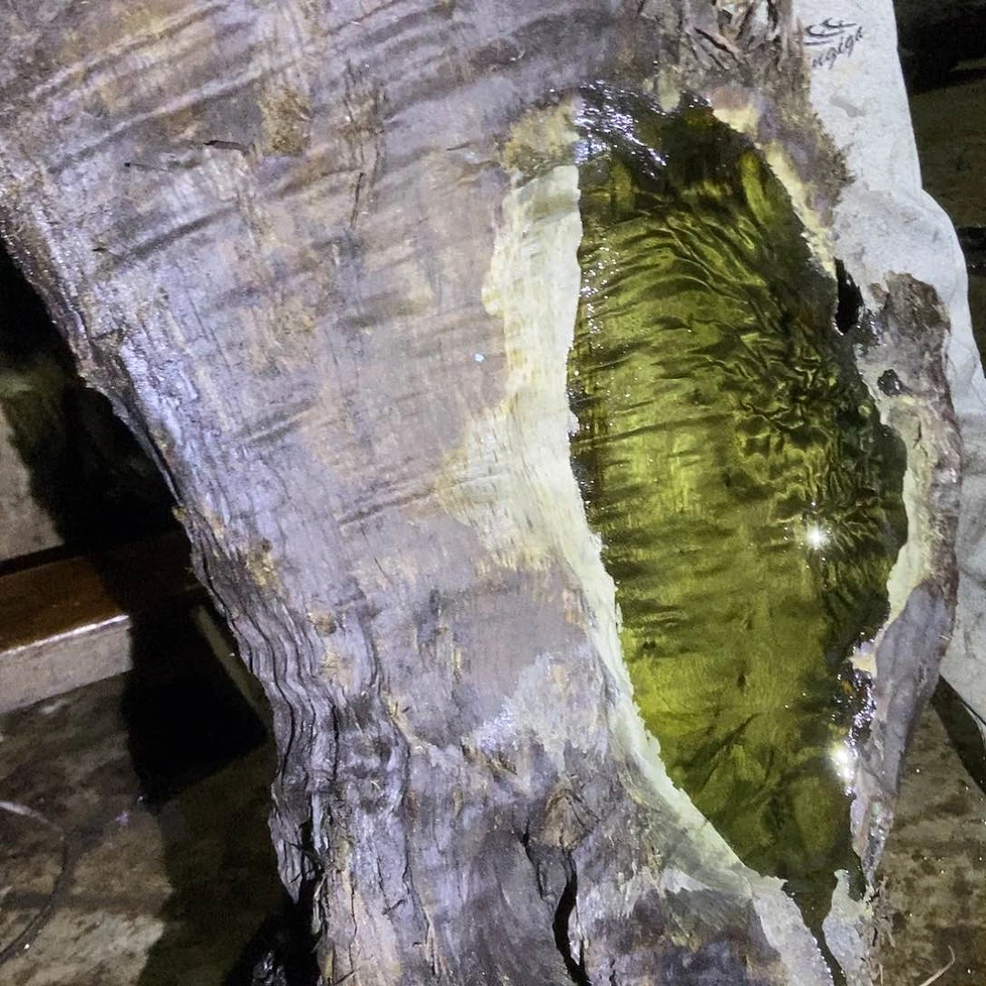 龙*阵乌木金丝楠原材料摆件