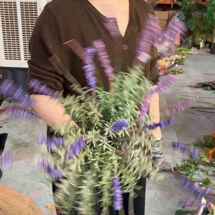 拍品大福利大福利